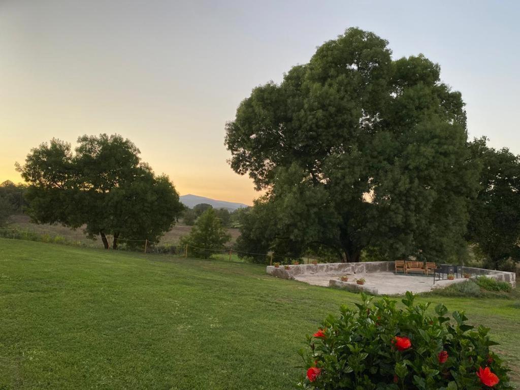 Aparthotel Il Casale Delle Rose Civitella Paganico Exterior foto